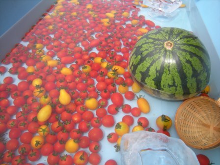 イベント 009.jpg