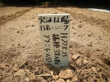 コピー 〜 耕作放棄地 069.jpg