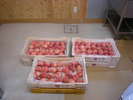 産品開発 001.jpg