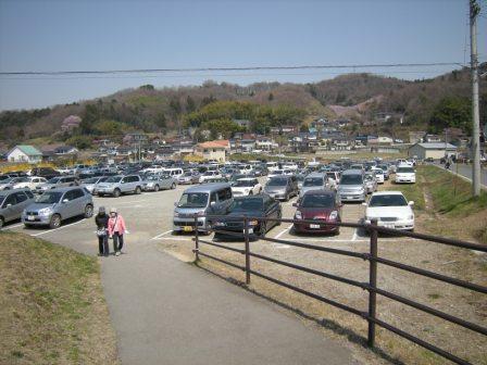 花見山 2011 002.jpg